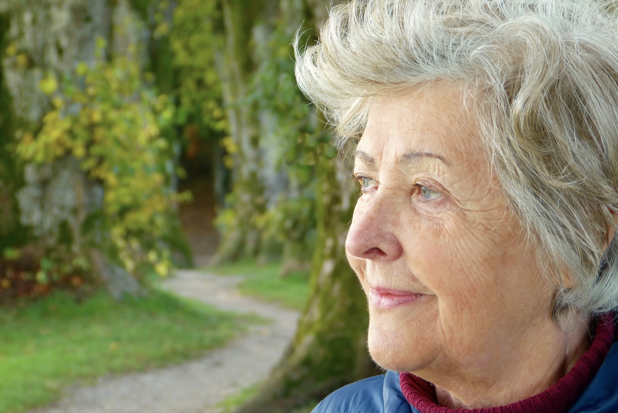 dementia and driving