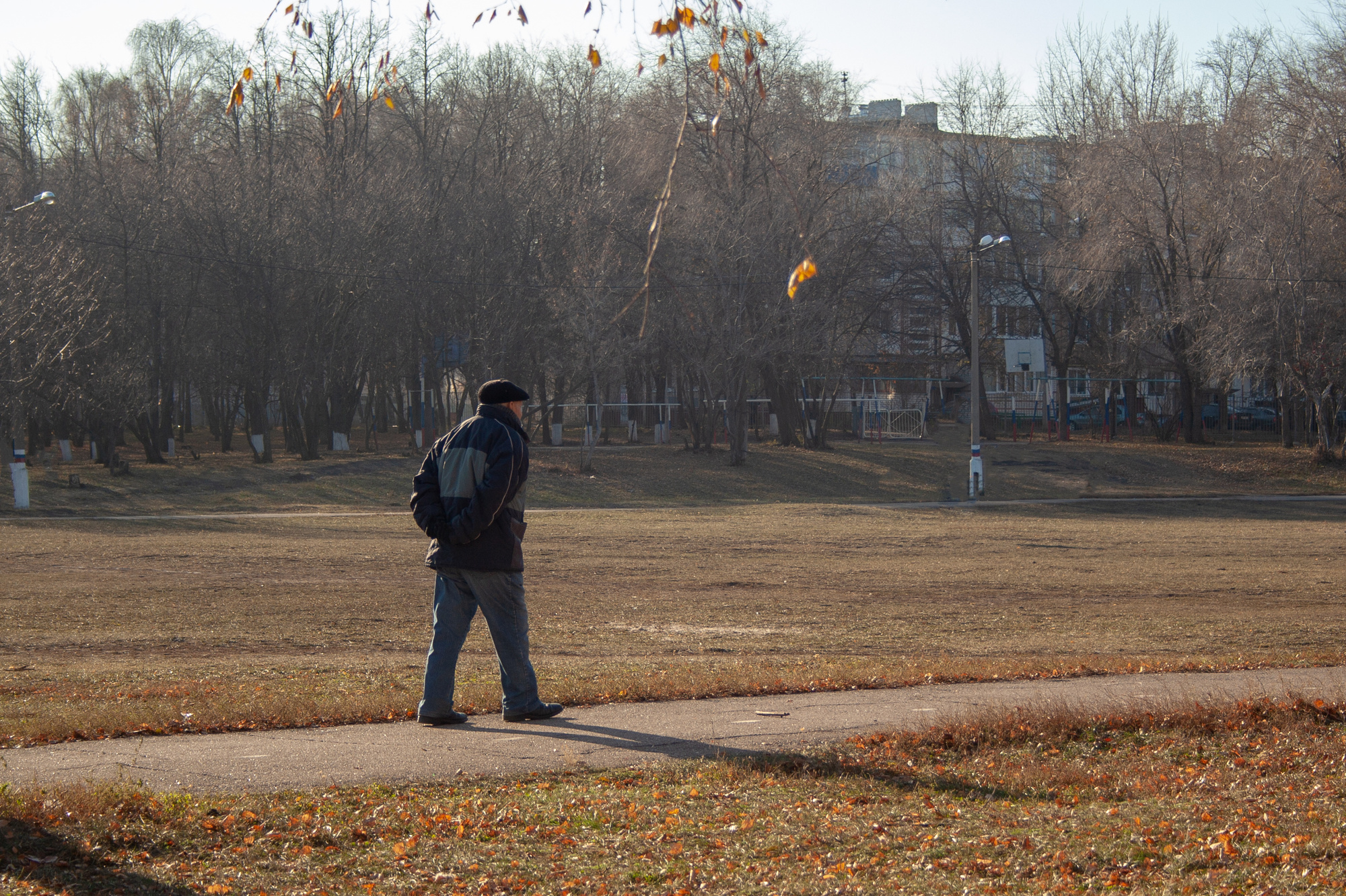 dementia wandering