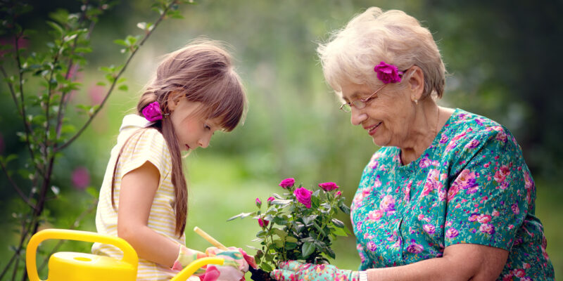 Activities for Alzheimer's patients