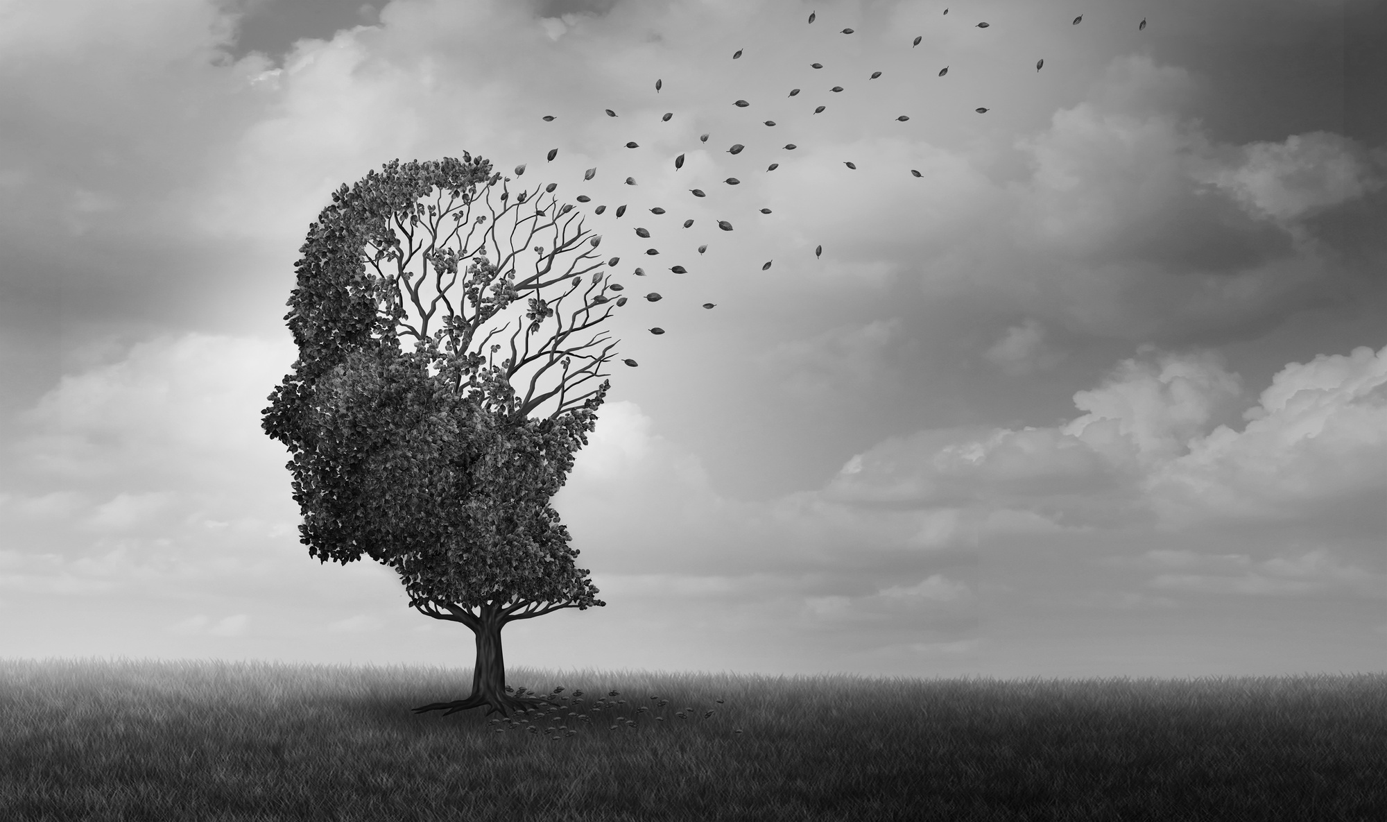 Books on Alzheimer's